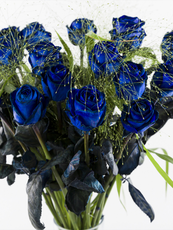 Blue rose bouquet